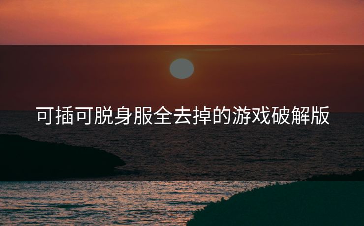 可插可脱身服全去掉的游戏破解版