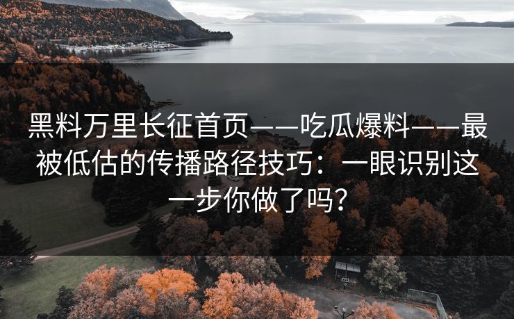 黑料万里长征首页——吃瓜爆料——最被低估的传播路径技巧：一眼识别这一步你做了吗？