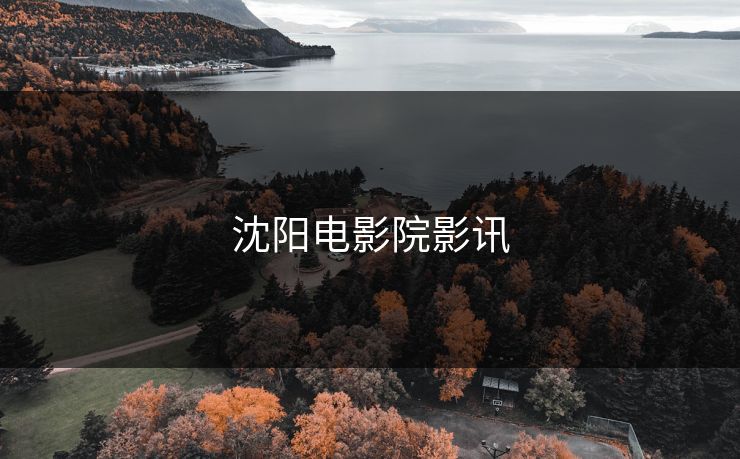 沈阳电影院影讯